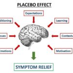 The Placebo Effect and Strength Training